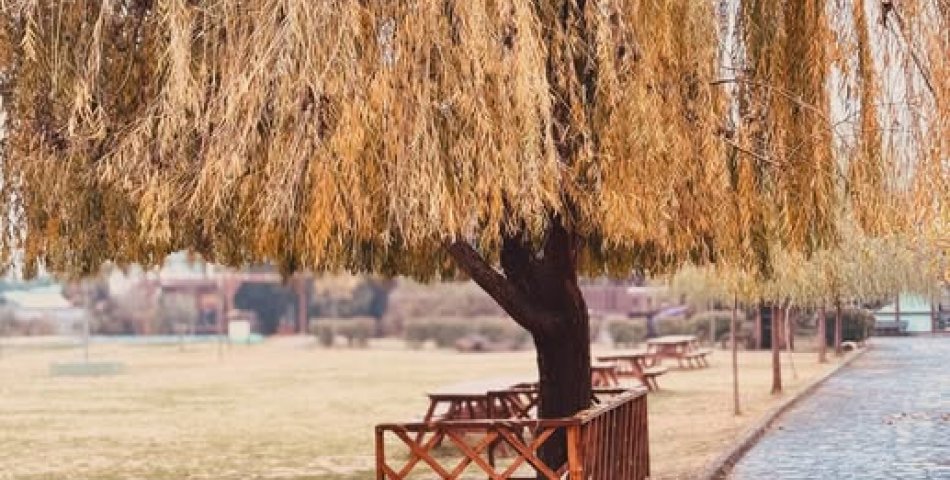 Çevre Haftasında Geniş Katılımlı Farkındalık Etkinlikleri Düzenlendi